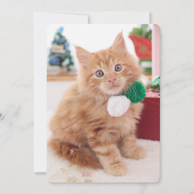 Carte Kitten (Devant)