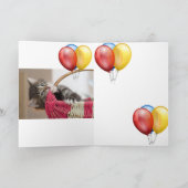 Carte Kitten (Intérieur)