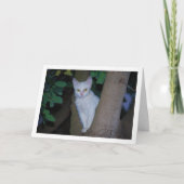Carte Kitten blanc dans le portrait d'arbre (Devant)