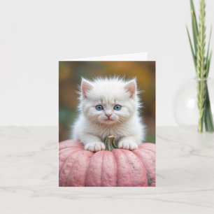 Carte Kitten blanc sur Citrouille rose