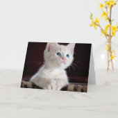 Carte Kitten blanc vulnérable (Fleur jaune)