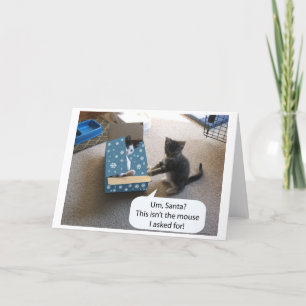 Carte Kitten Christmas Surprise (vide à l'intérieu
