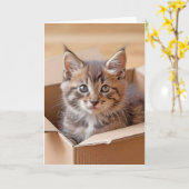 Carte Kitten d'anniversaire dans une boîte en carton (Fleur jaune)