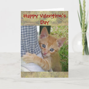 Carte Kitten Dax Valentine