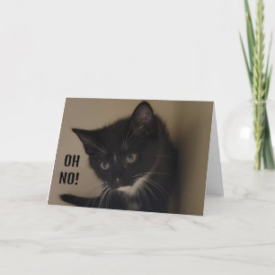 CARTE KITTEN EST SI HEUREUX DE DIRE "HEUREUX 21E ANNIVER