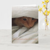 Carte kitten get well card (Fleur jaune)