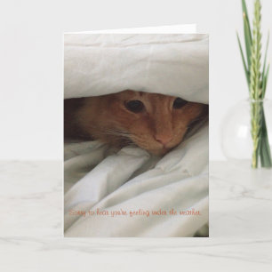 Carte kitten get well card