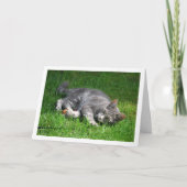 Carte Kitten gris allongé sur la pelouse (Devant)