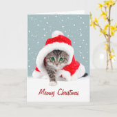 Carte Kitten In Christmas Santa Hat and Snowflakes (Fleur jaune)