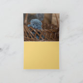 Carte Kitten Love (Intérieur)