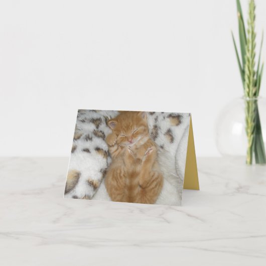 Carte Kitten Love (Devant)