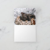 Carte Kitten Love (Intérieur)