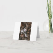 Carte Kitten Love (Devant)