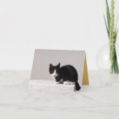 Carte Kitten Love (Devant)