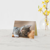 Carte Kitten Love (Fleur jaune)