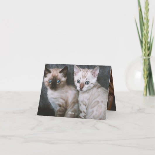 Carte Kitten Love (Dos)