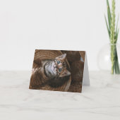 Carte Kitten Love (Devant)