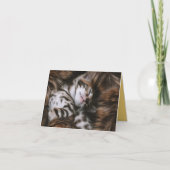 Carte Kitten Love (Devant)