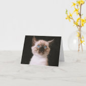 Carte Kitten Love (Fleur jaune)