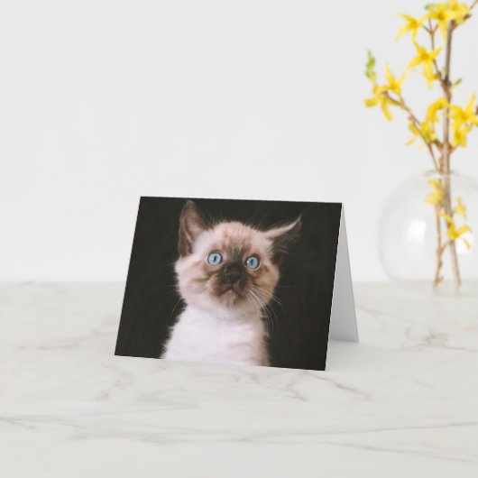 Carte Kitten Love (Fleur jaune)