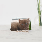 Carte Kitten Love (Dos)