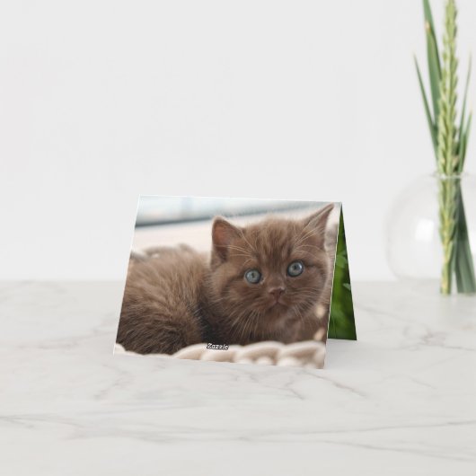 Carte Kitten Love (Dos)