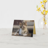 Carte Kitten Love (Fleur jaune)