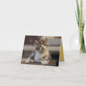 Carte Kitten Love (Devant)