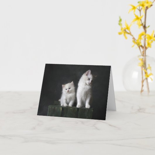 Carte Kitten Love (Fleur jaune)