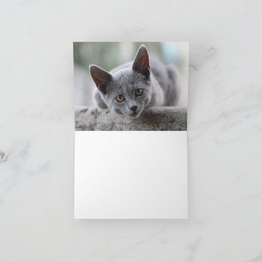 Carte Kitten Love (Intérieur)