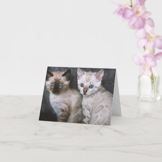 Carte Kitten Love (Orchidée)