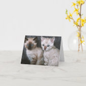 Carte Kitten Love (Fleur jaune)