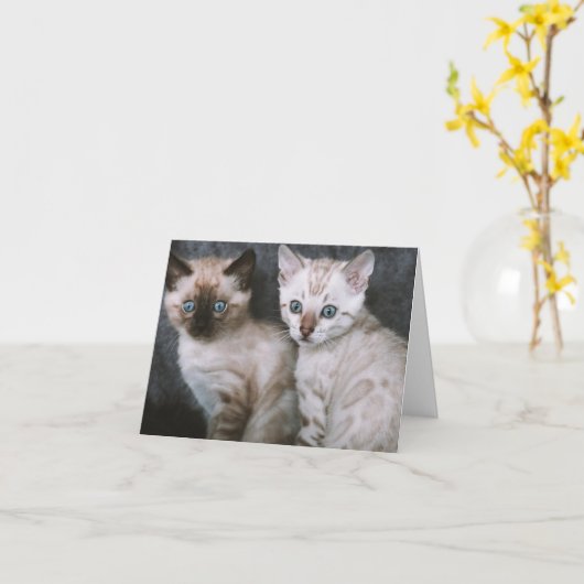 Carte Kitten Love (Fleur jaune)