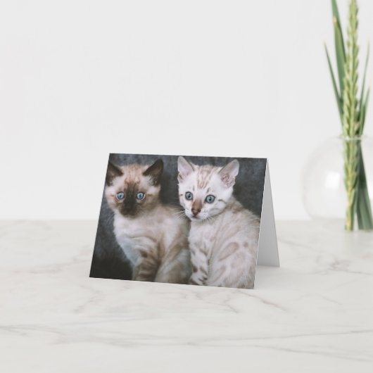 Carte Kitten Love (Devant)