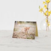 Carte Kitten Love (Fleur jaune)