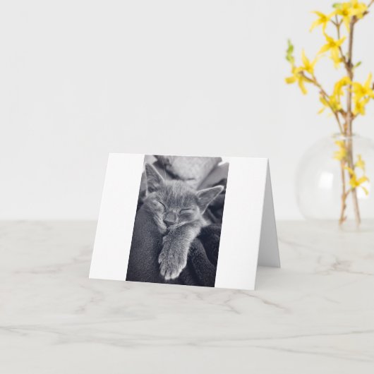 Carte Kitten Love (Fleur jaune)
