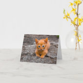 Carte Kitten Love (Fleur jaune)