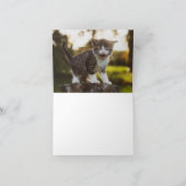 Carte Kitten Love (Intérieur)