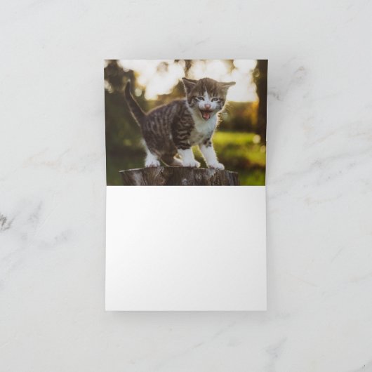 Carte Kitten Love (Intérieur)