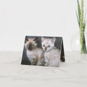 Carte Kitten Love (Dos)