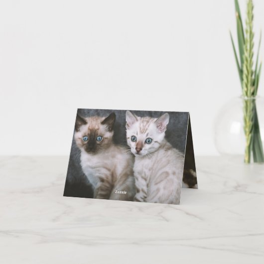 Carte Kitten Love (Dos)