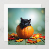 Carte Kitten Noir Dans Un Citrouille (Devant / Derrière)