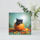 Carte Kitten Noir Dans Un Citrouille (Debout devant)