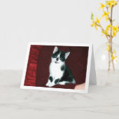 Carte Kitten noir et blanc (Fleur jaune)