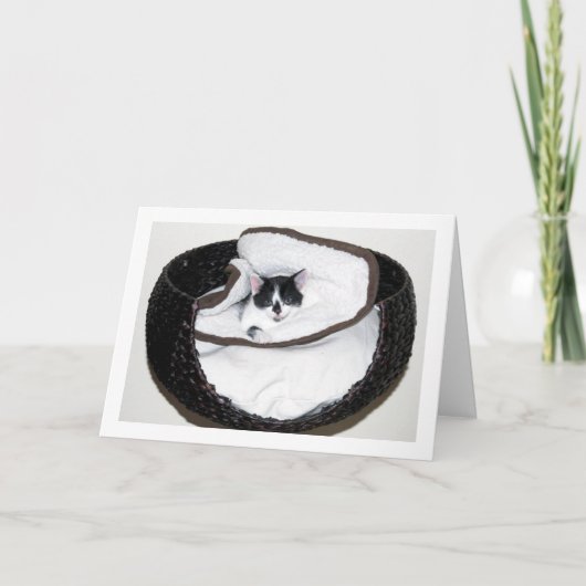 Carte Kitten noir et blanc en lit (Devant)