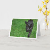 Carte Kitten noir sur l'herbe (Fleur jaune)