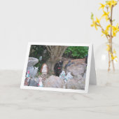 Carte Kitten noir sur Rockery (Fleur jaune)