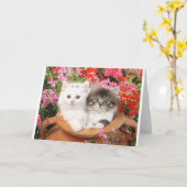 Carte Kittens in a pot. (Fleur jaune)