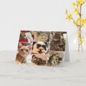 Carte Kitties du comté de Johnston (Fleur jaune)