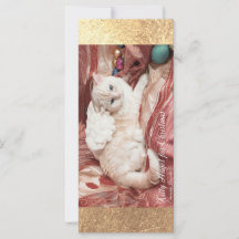 Kitty Angel pour Noël